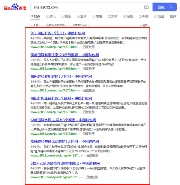鞋包货源网站-合作案例