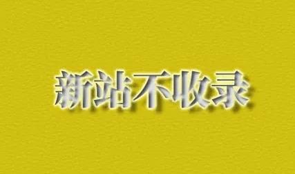 新站不收录的原因有哪些